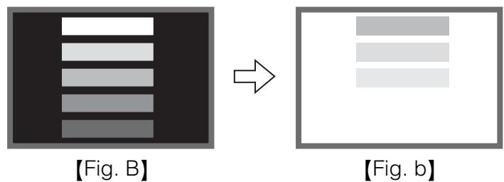 HITACHI 42PD5300 - Caracteristiques de la détention d'image d'un écran à plasma - 2