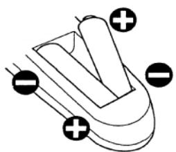 HITACHI 42PMA500 - Mise en Place des Piles - 2