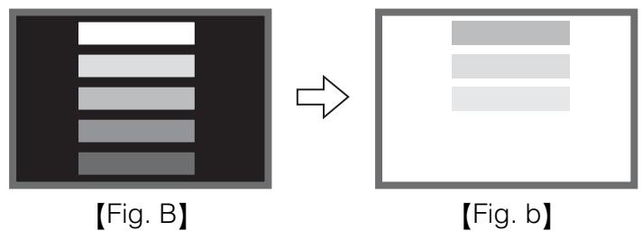 HITACHI 42PMA500 - Caracteristiques de la détention d'image d'un écran à plasma - 2