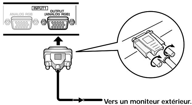 HITACHI CMP5000WXU - Pour le raccordement à OUTPUT (INPUT1) - 1
