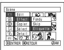 HITACHI DZ-BX31E - CHANGEMENT DE VIGNETTES (EFFET - ETIQUETTE) - 3