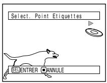 HITACHI DZ-BX31E(UK) - CHANGEMENT DE VIGNETTES (EFFET - ETIQUETTE) - 6