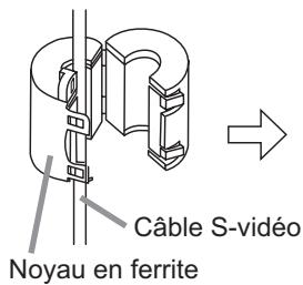 HITACHI ED-D11 - Noyau en ferrite pour cable S-video - 1