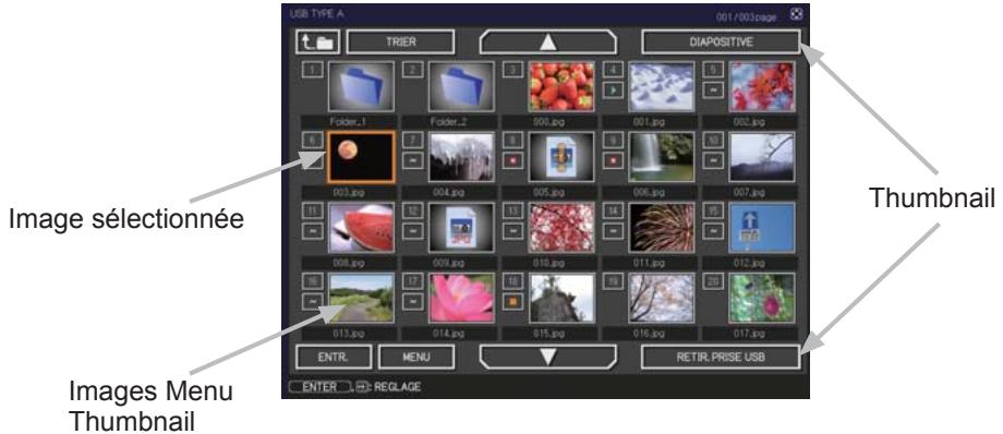 HITACHI CP-X2011N - [Formats de fichiers Supportés] - 1