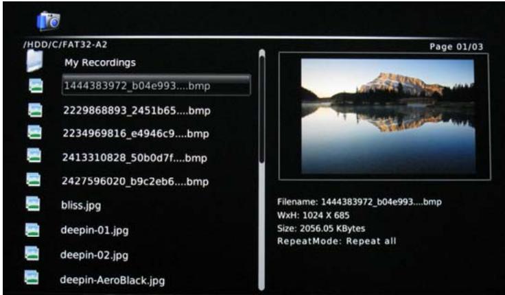 MEMUP MEDIADISK FX HD - Parcourir les photos - 1