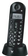 LEXIBOOK DP222 - A PROPOS DE VOTRE TELEPHONE - 2