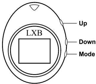 LEXIBOOK DKCO1 - PRÉSENTATION - 1