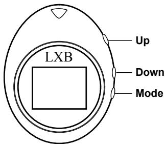 LEXIBOOK DKCO1 - PRESENTACION - 1