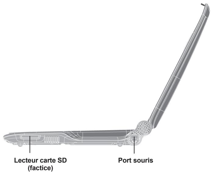 LEXIBOOK JC850LPSFR - Description du produit - 1