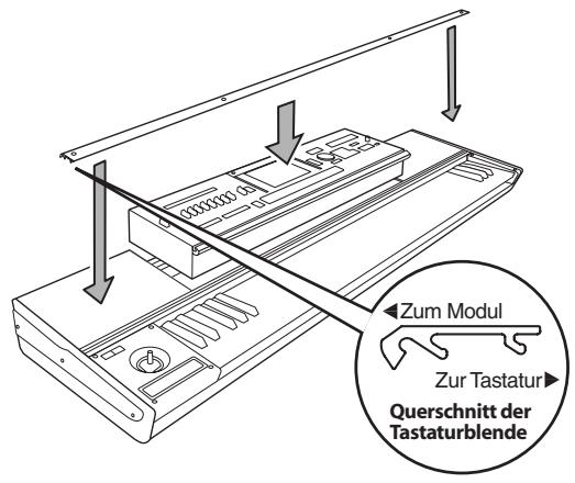 KORG KEYBOARD ASSEMBLY 73KEY - Einbau des Moduls - 1