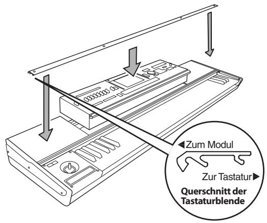 KORG KEYBOARD ASSEMBLY 88KEY - Einbau des Moduls - 1
