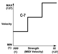KORG PADKONTROL MIDI - Velocity Curve [C-1...C-8] - 5