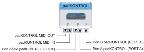 KORG PADKONTROL MIDI - Ports d'entrée et de sortie MIDI mac OS x - 1