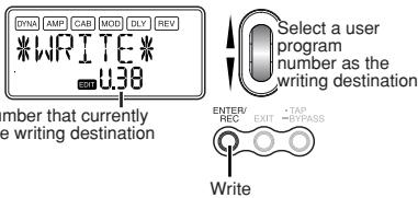 KORG PANDORA PX5D - WRITE - 1
