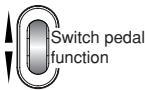 KORG PANDORA PX5D - FOOTSW: Foot switch pedal settings - 2