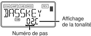 KORG PANDORA PX5D - Bass key (Touche de basse) - 1