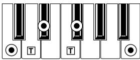 KORG PA50 - Diminished Major 7th - 1