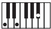 KORG PA50 - Clé/accord - 5
