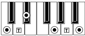 KORG PA50 - Minor-Major 7th - 1