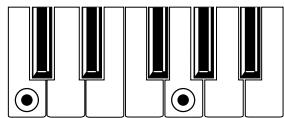KORG PA50 - No 3rd - 1