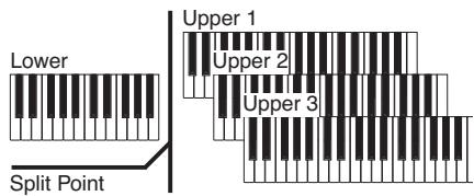 KORG PA50 - JOUER sur le clavier - 9