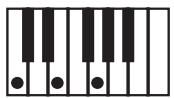 KORG PA50 - Clé/accord - 1