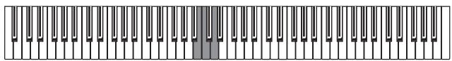 KORG C320 - Touch settings - 2