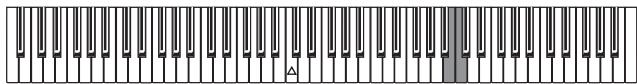 KORG C320 - Accordage fin - 1