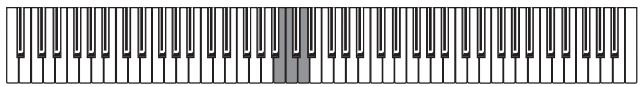 KORG C320 - Einstellung des Anschlags - 2