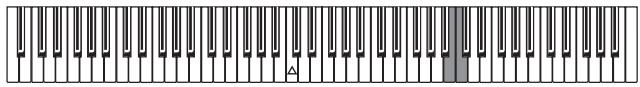 KORG C320 - Intonazione fine - 1