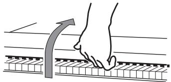 KORG C320 - Aprire il coperchio - 1