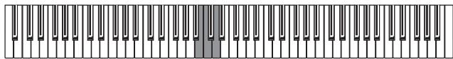 KORG C320 - Réglage du toucher - 2