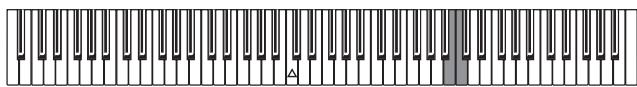 KORG C320 - Feinstimmung - 1