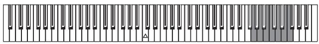 KORG C320 - Transponierung - 2