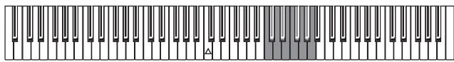KORG C320 - Das Metronom - 2