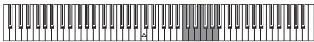 KORG C320 - II metronomo - 2