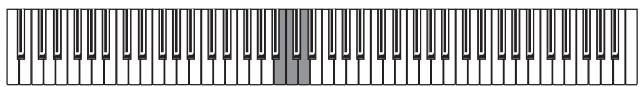 KORG C320 - Regolazione del tocco - 2