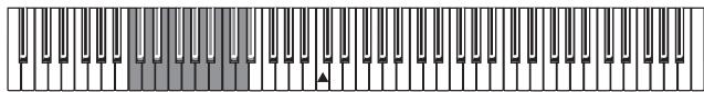 KORG C320 - Übertragungskanal selektieren - 1