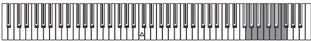 KORG C320 - Transpose - 2
