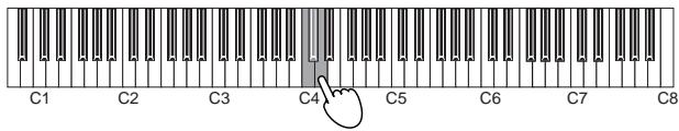 KORG K SERIES - Temperament - 1