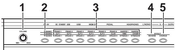 KORG K49 - Générateur sonore (K61P) - 1