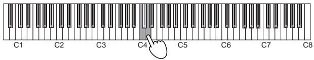 KORG K49 - Temperament - 1