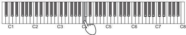 KORG K61P - Réglage du contrôle local on/off - 1