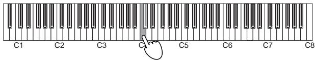 KORG K61P - The Local control on/off setting - 1