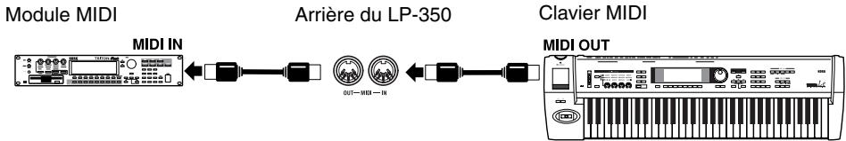 KORG LP350 - Connexions MIDI - 1