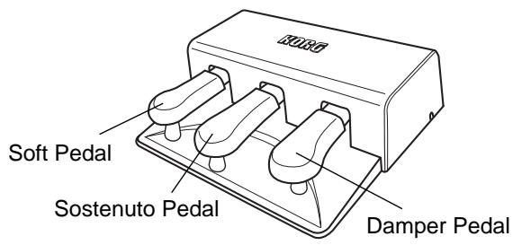 KORG NC300 - Using the Pedals - 1