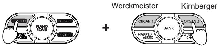 KORG NC300 - To select the Werckmeister or Kirnberger temperament, hold down TOUCH and press ORGAN 1 or ORGAN 2. - 1