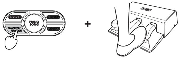 KORG NC300 - Hold down TRANSPOSE/FUNCTION and step on the damper pedal as while watching the SOUND buttons. - 1