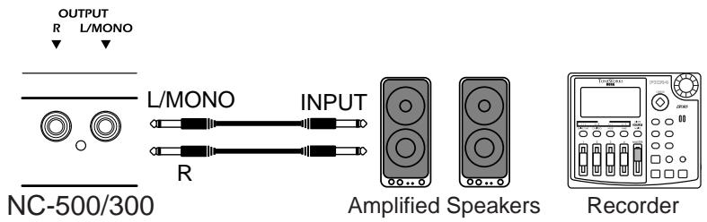 KORG NC300 - Using the OUTPUT Jacks - 1