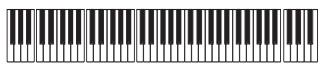 KORG PA2XPRO - Enregistrer des séquences individuelles - 1